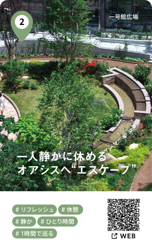 静かなベンチや緑地の風景