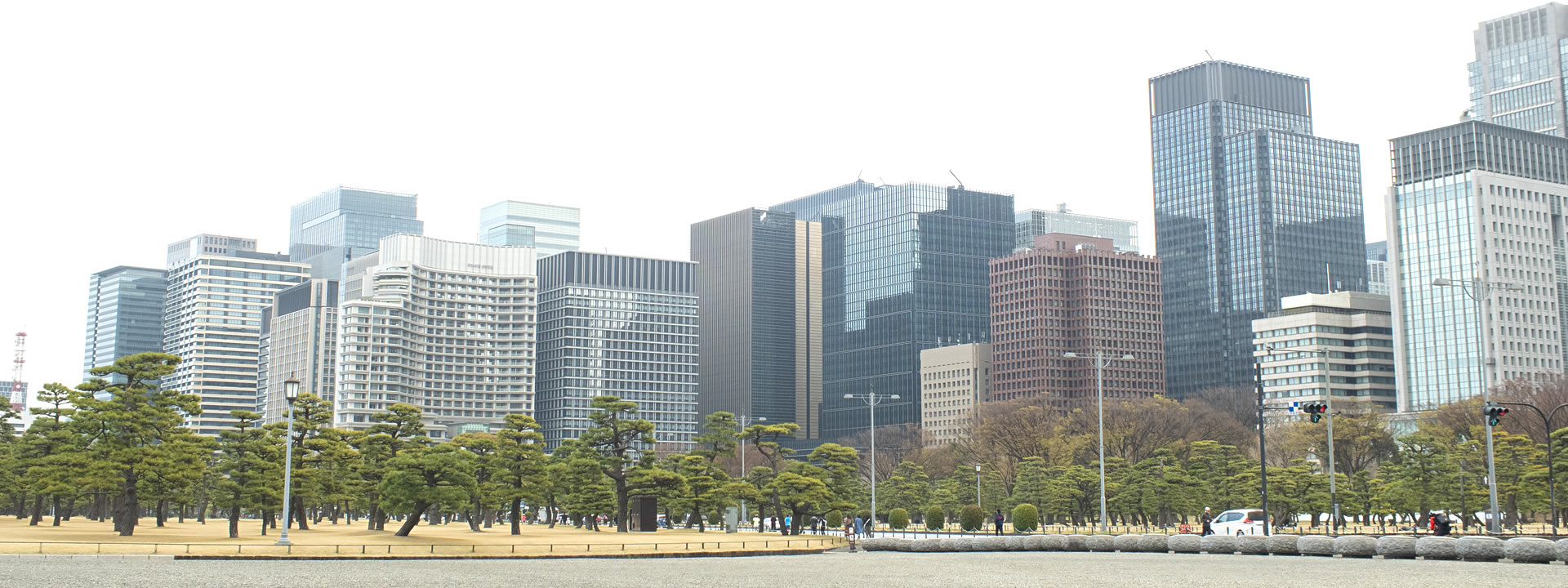 Council of organizations